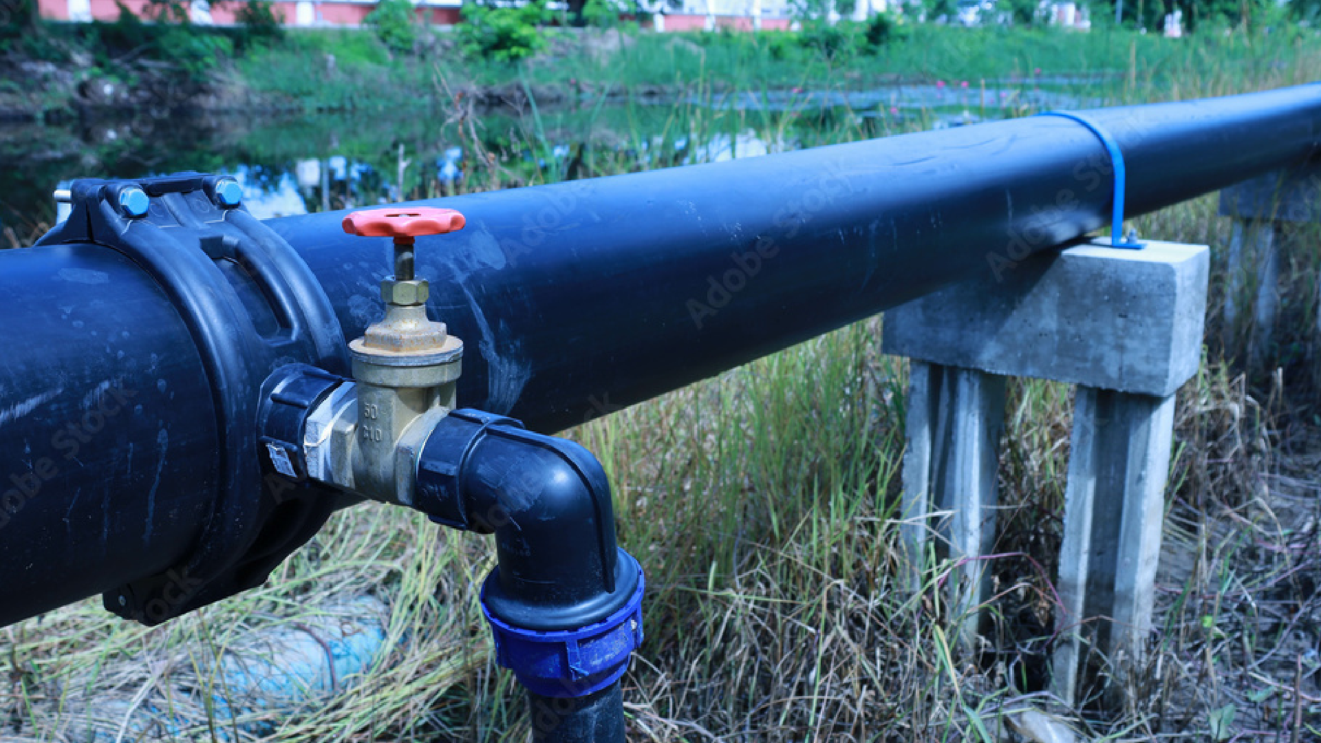 banner image large 2